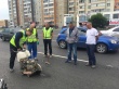 Челябинские активисты ОНФ указали властям на риск срыва сроков дорожных ремонтов по нацпроекту