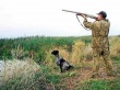 Сезон охоты, или Правила использования охотничьего оружия