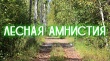 Челябинская область в числе первых по реализацией закона о «лесной амнистии»   