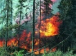 Лесной пожар-это ОПАСНО!!!