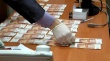 Кусинские полицейские расследуют уголовное дело по факту замены денежных средств билетами банка приколов.