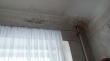 Челябинские активисты ОНФ обнаружили в Магнитогорске два дома с демонтированными крышами