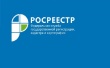 Управлением Росреестра представлена статистика  о недвижимости Южного Урала, «лесной амнистии» и многом другом
