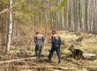Кусинские полицейские приняли участие в поисках заблудившихся грибников