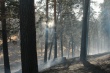 Уважаемые  жители   Кусинского городского поселения, в связи с сухой и жаркой погодой резко произошел рост пожаров!