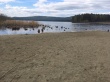 Проверка ОНФ показала, что владельцы бизнеса на озере Тургояк продолжают нарушать природоохранное законодательство