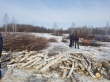 Эксперты ОНФ обратились в прокуратуру Челябинской области по факту вырубки зеленых насаждений в охранной зоне
