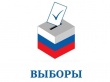 С 31 января заявление о желании проголосовать по месту нахождения на выборах Президента Российской Федерации можно будет подать через Многофункциональные центры