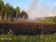 ОНФ предложил властям Челябинской области ввести особый противопожарный режим в связи с участившимися лесными возгораниями