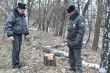 Кусинские полицейские задержали подозреваемого в незаконной рубке деревьев