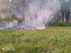 ОНФ предложил властям Челябинской области ввести особый противопожарный режим в связи с участившимися лесными возгораниями